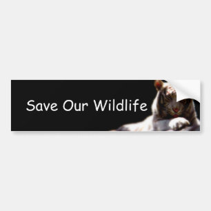 Wildlife-Bewusstseins-Aufkleber für Autos Autoaufkleber