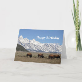 Wildlife Bison Mountains Schnee Foto Geburtstag Karte