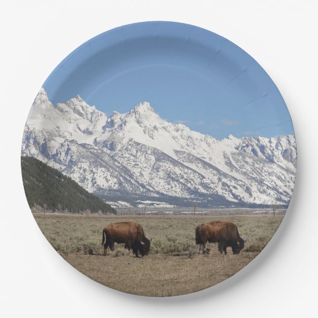 Wildlife Bison Mountains Schnee Foto Pappteller (Vorderseite)