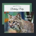 Wildlife Bobcat Foto Geburtstag Einladung<br><div class="desc">Der Bobcat (Lynx Rufus) ist eine nordamerikanische Katze,  die von Süd-Kanada bis Zentralmexiko reicht,  einschließlich der meisten der benachbarten Vereinigten Staaten.</div>