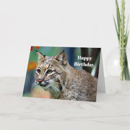 Wildlife Bobcat Foto Geburtstag Karte
