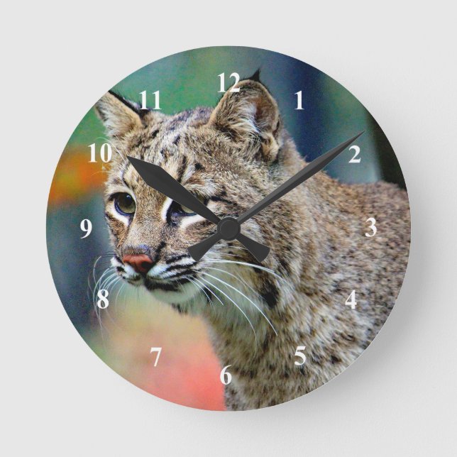 Wildlife Bobcat Foto Runde Wanduhr (Vorderseite)