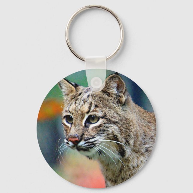 Wildlife Bobcat Foto Schlüsselanhänger (Vorderseite)