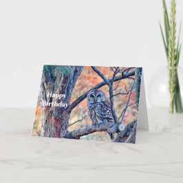 Wildlife Brown Owl Tree Geburtstag Karte