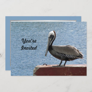 Wildlife Brown Pelican Water Foto Geburtstag Einladung