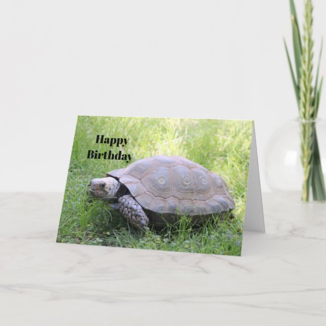 Wildlife Brown Tortoise Foto Geburtstag Karte (Vorderseite)