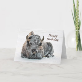 Wildlife Buffalo Schnee Foto Geburtstag Karte