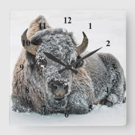 Wildlife Buffalo Snow Foto Quadratische Wanduhr