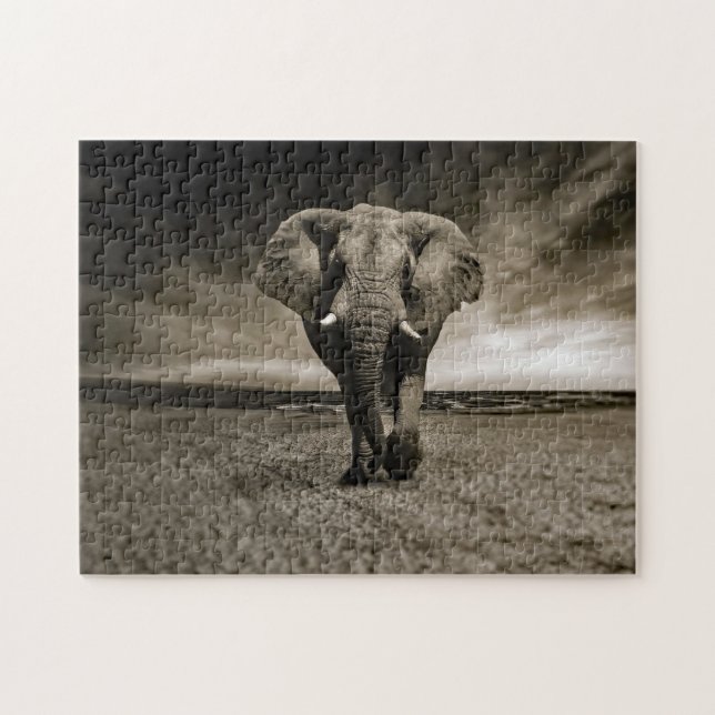 Wildlife Bull Elephant Foto (Horizontal)