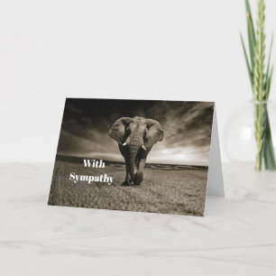 Wildlife Bull Elephant Foto Beileid Karte