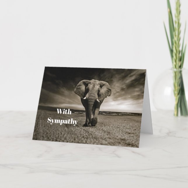 Wildlife Bull Elephant Foto Beileid Karte (Vorderseite)