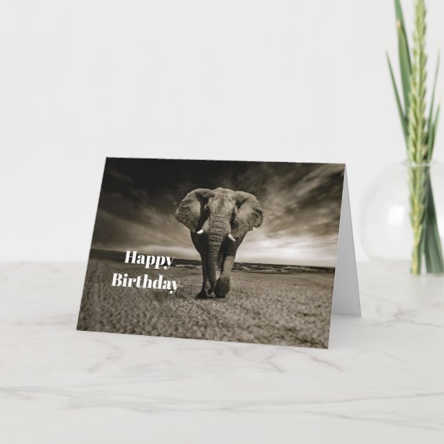 Wildlife Bull Elephant Foto Geburtstag Karte (Vorderseite)