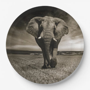 Wildlife Bull Elephant Foto Pappteller