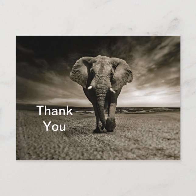Wildlife Bull Elephant Foto Vielen Dank Postkarte (Vorderseite)