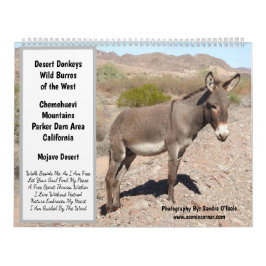 Wildlife Calendar, wild donkeys, burros, desert Kalender