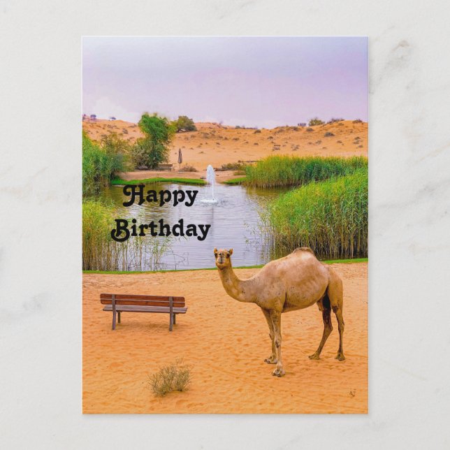 Wildlife Camel Oasis Foto Geburtstag Postkarte (Vorderseite)