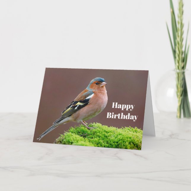 Wildlife Chaffinch Foto Birthday Karte (Vorderseite)