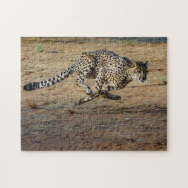 Wildlife Cheetah Running Foto