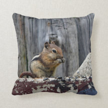 Wildlife Chipmunk Animal Foto