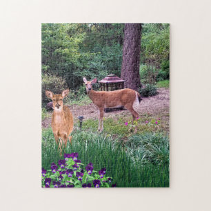 Wildlife Doer Foto Collage