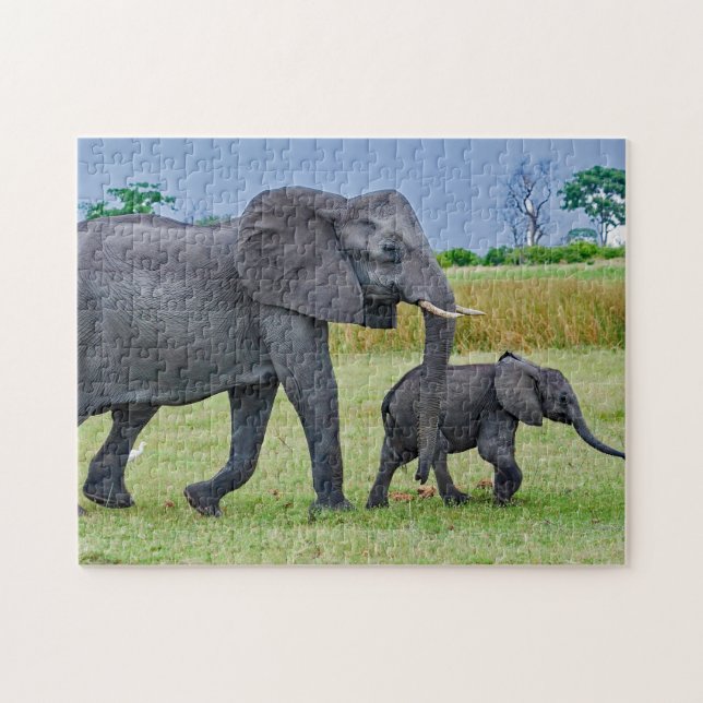 Wildlife Elephant Calf Foto (Horizontal)