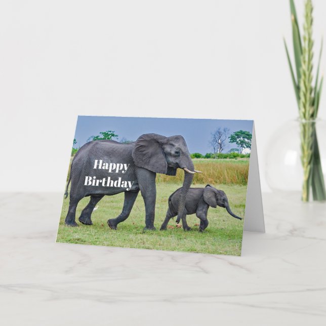 Wildlife Elephant Calf Foto Geburtstag Karte (Vorderseite)