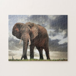 Wildlife Elephant Foto