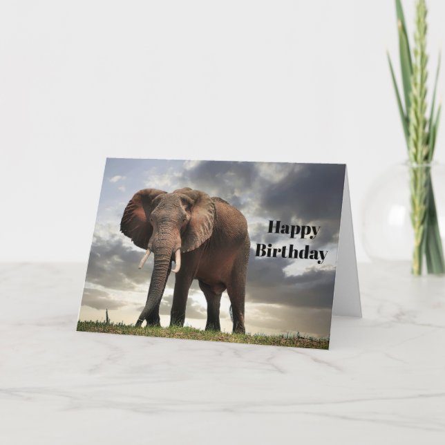 Wildlife Elephant Foto Geburtstag Karte (Vorderseite)