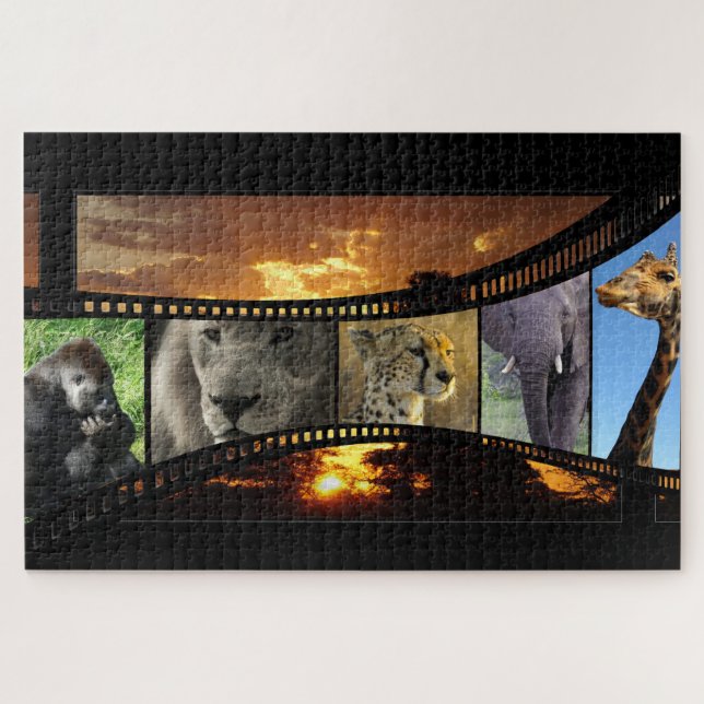 Wildlife Film (Horizontal)