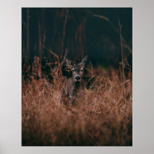 WILDLIFE-FOTOGRAFIE VON GRAURER, UMGEBEN VON GR POSTER