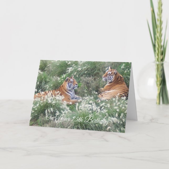 Wildlife Fotografy Tigers Custom 75. Geburtstag Karte (Vorderseite)