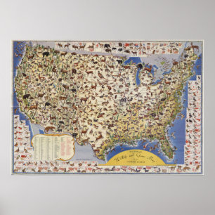 Wildlife & Game Map der Vereinigten Staaten Poster