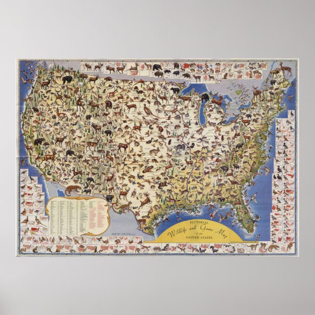 Wildlife & Game Map der Vereinigten Staaten Poster (Vorne)