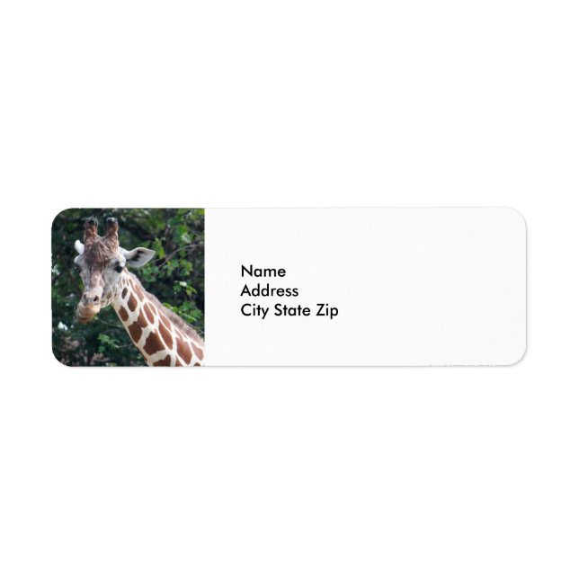 Wildlife Giraffe Foto (Vorne)