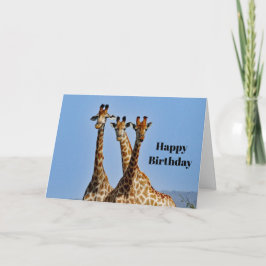 Wildlife Giraffe Herd Foto Geburtstag Karte