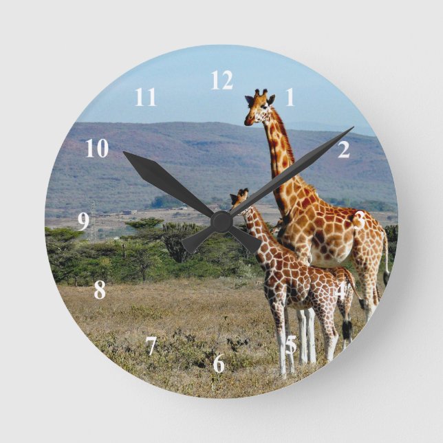Wildlife Giraffe Mother and Baby Foto Runde Wanduhr (Vorderseite)
