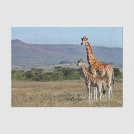 Wildlife Giraffe Mutter und Baby Foto Seidenpapier
