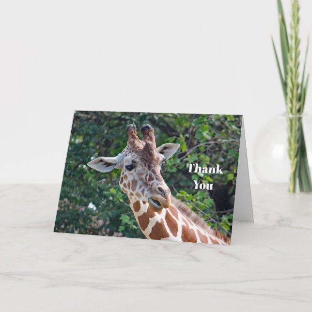 Wildlife Giraffe Portrait Foto Dankeskarte (Vorderseite)