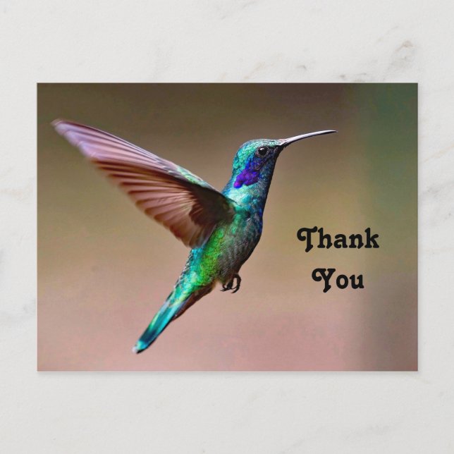 Wildlife Green Hummingbird Foto Vielen Dank Postkarte (Vorderseite)
