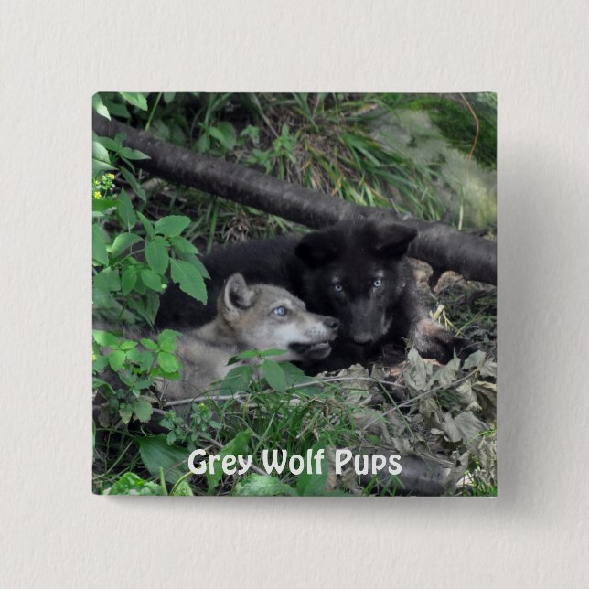 Wildlife Grey Wolf Tierfreund-Design Button (Vorderseite)