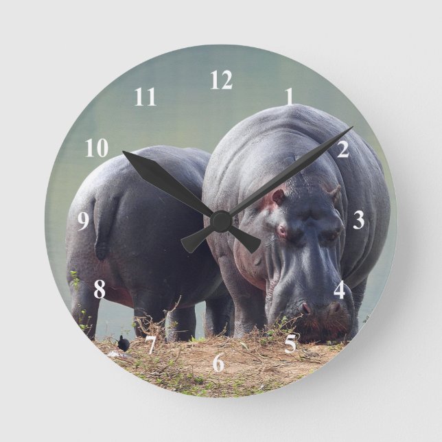 Wildlife Hippo Foto Runde Wanduhr (Vorderseite)