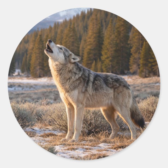 Wildlife Howling Gray Wolf Wilderness Scene Runder Aufkleber (Vorderseite)