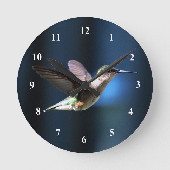 Wildlife Hummingbird Photo Runde Wanduhr (Vorderseite)
