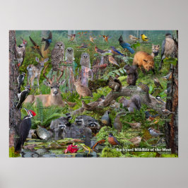 WIldlife im Westen Poster