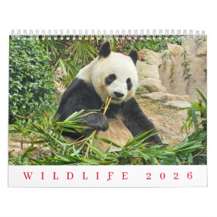 Wildlife-Kalender 2026 Kalender
