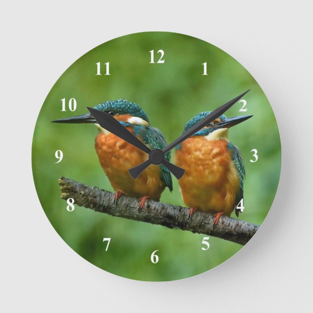 Wildlife Kingfisher Foto Runde Wanduhr (Vorderseite)
