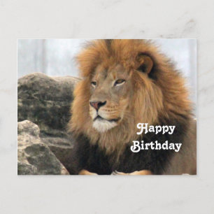 Wildlife-Löwe-Foto-Geburtstag Postkarte