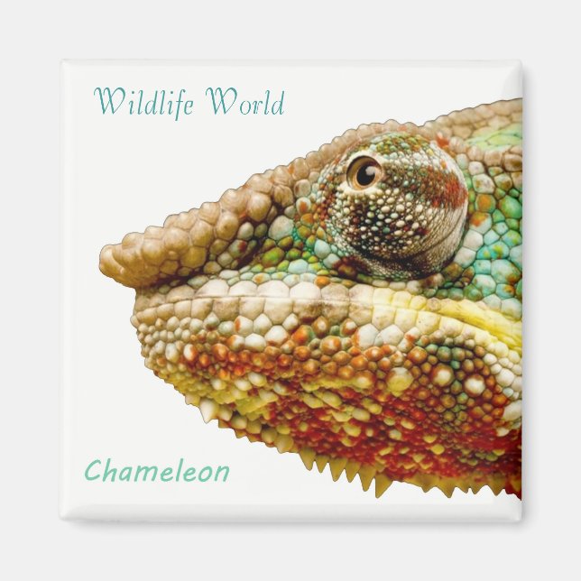 Wildlife Magnet (Vorne)