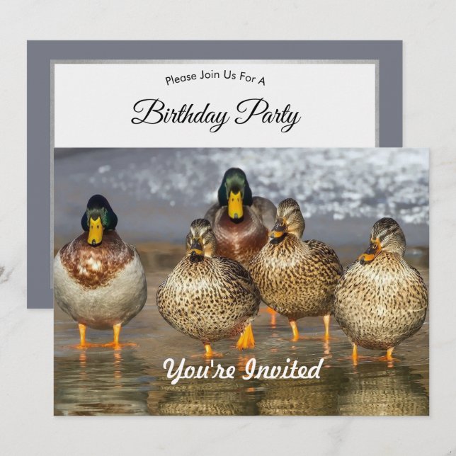 Wildlife Mallard Ducks Foto Geburtstag Einladung (Vorne/Hinten)