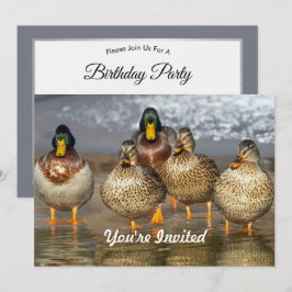 Wildlife Mallard Ducks Foto Geburtstag Einladung